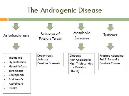Androgenic Disease Man 300 x 450